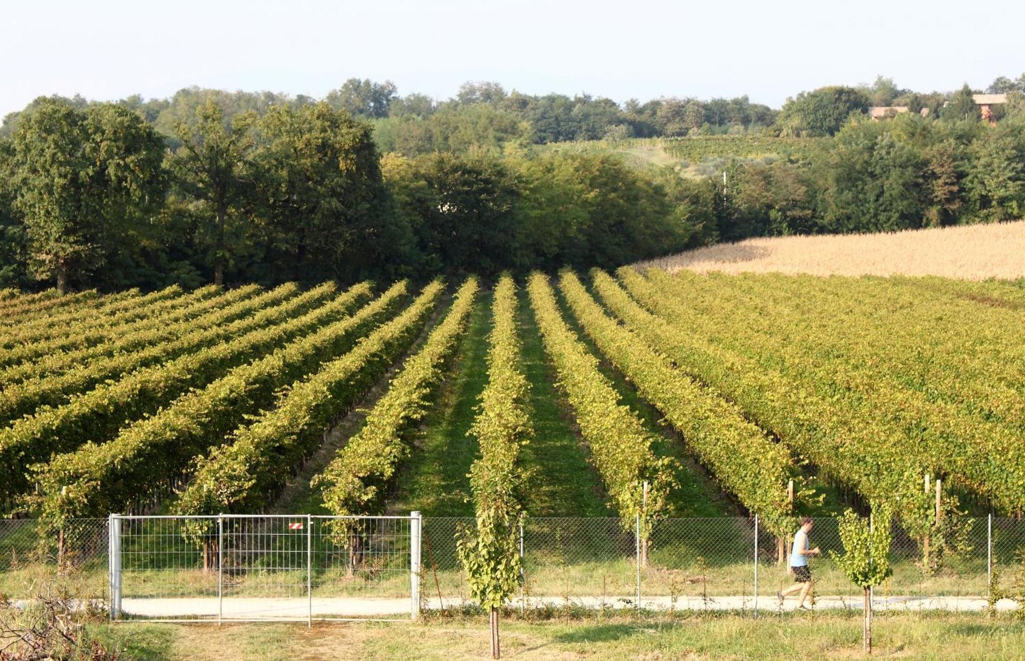 Caspineda Agriturismo Montebelluna Ngoại thất bức ảnh